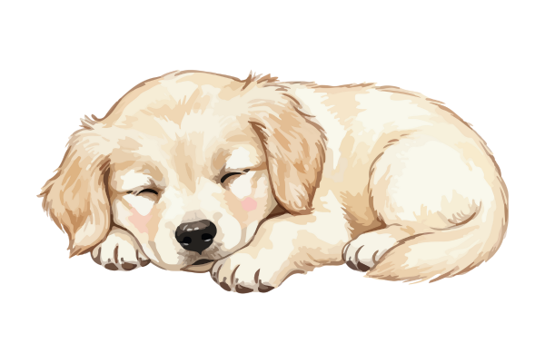 安らかな姿勢に