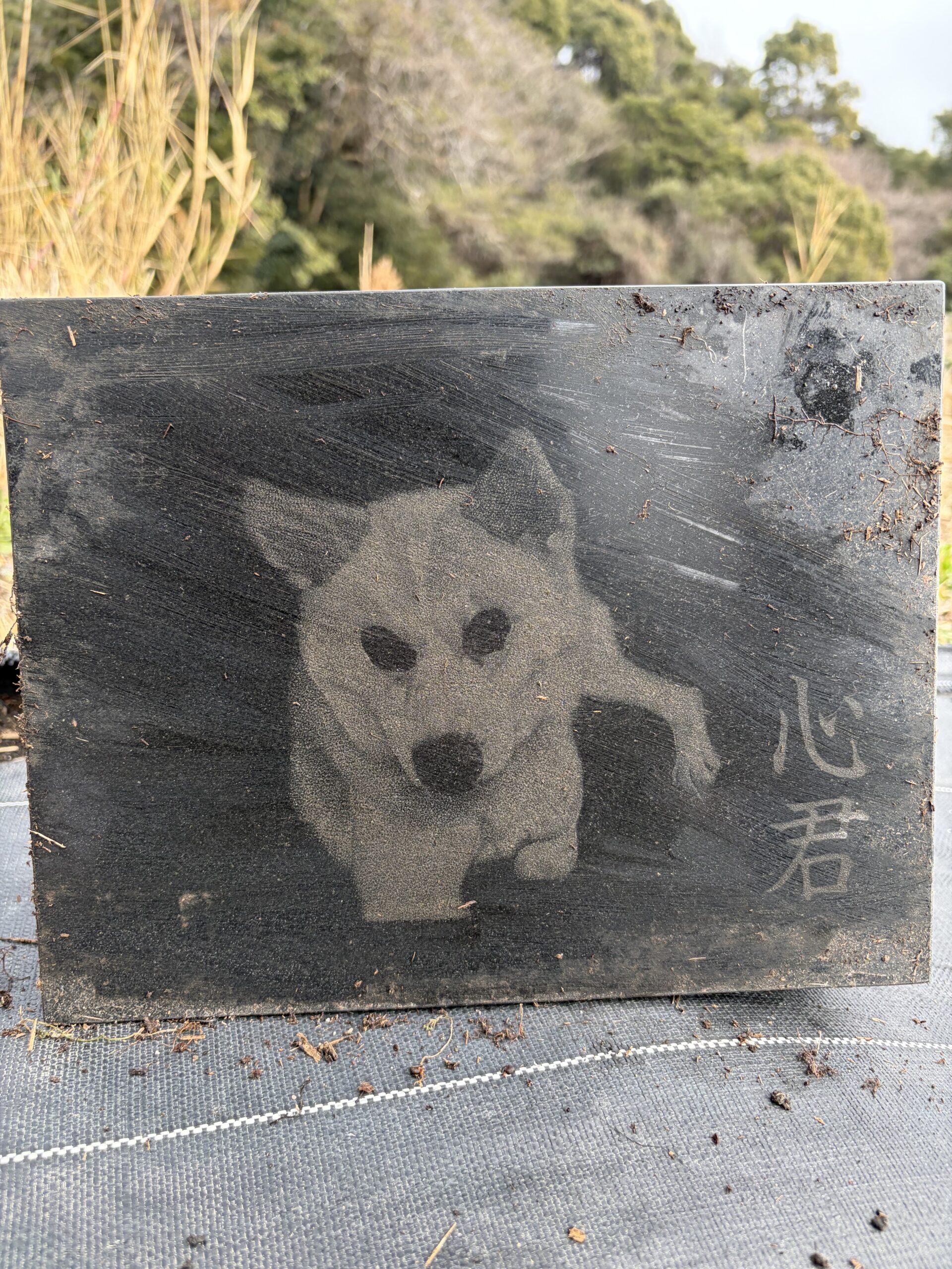 合同慰霊碑の風景4