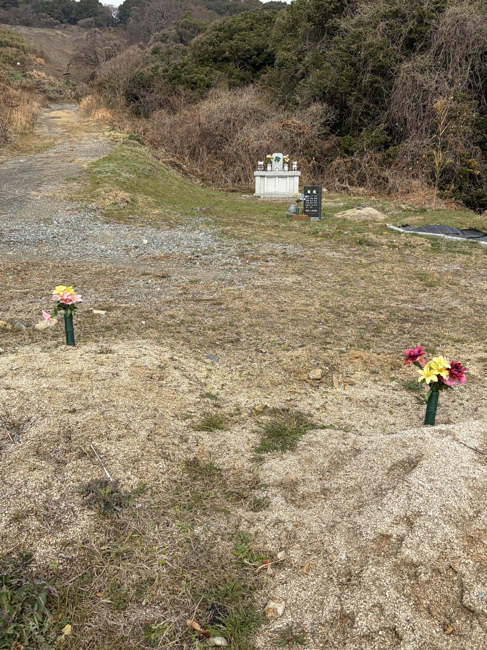 合同慰霊碑の風景2