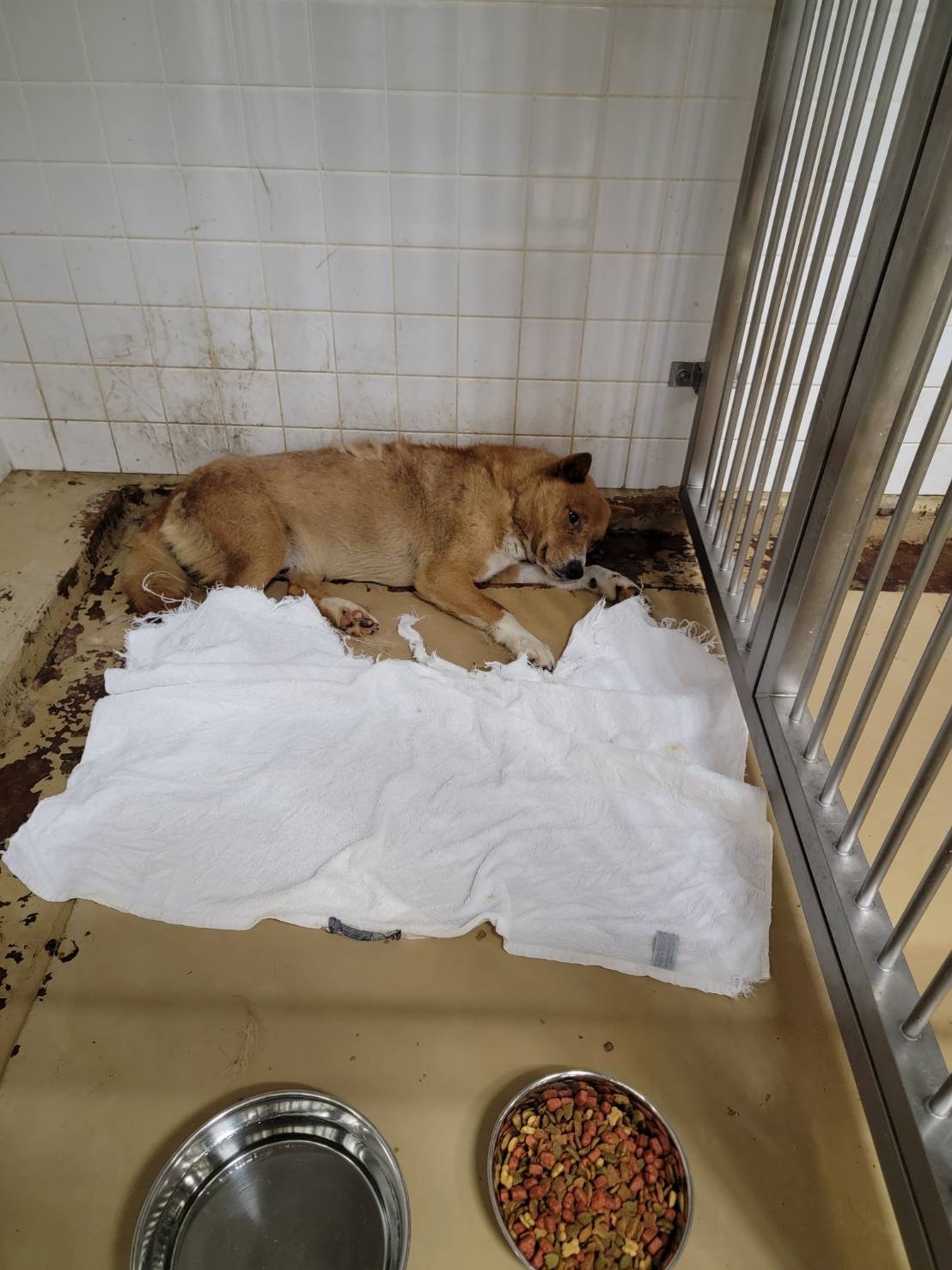 収益は保護活動へ