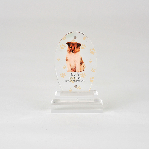 オーバル_シンプル