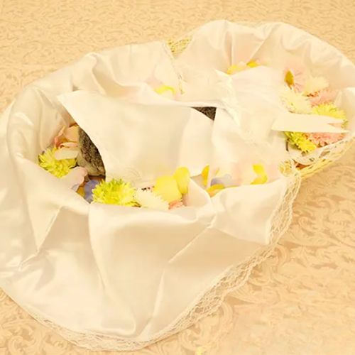 バスケット棺・バスケットカバーセット