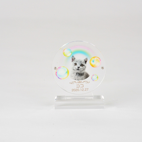 丸型_レインボー