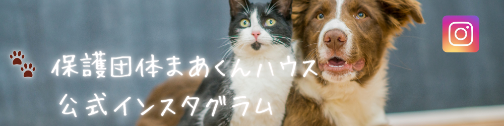 まあくんハウス公式Instagram